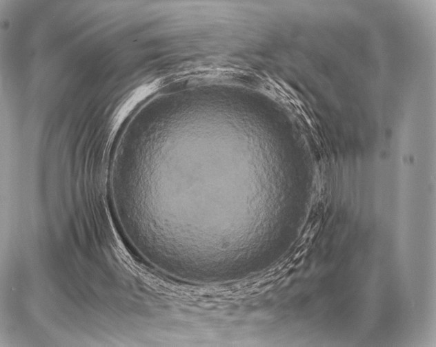 X0000086790003200704131252