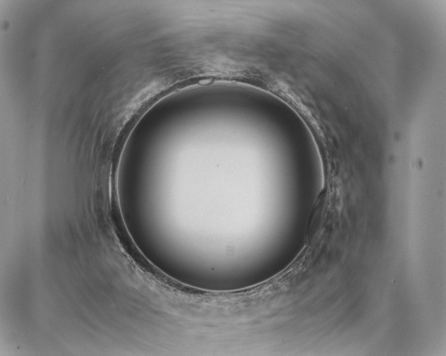 X0000086790011200704131252