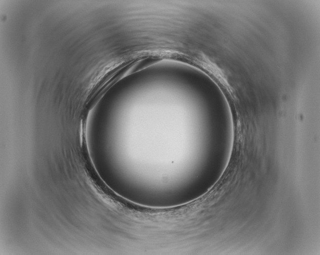 X0000086790013200704131252