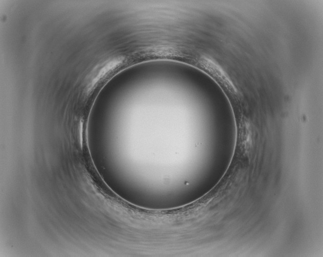 X0000086790014200704131252
