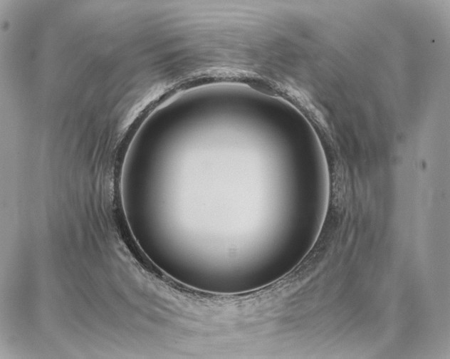 X0000086790015200704131252