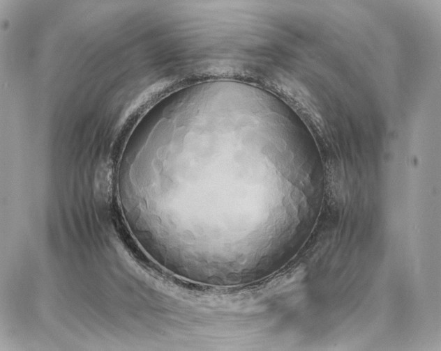 X0000086790016200704131252