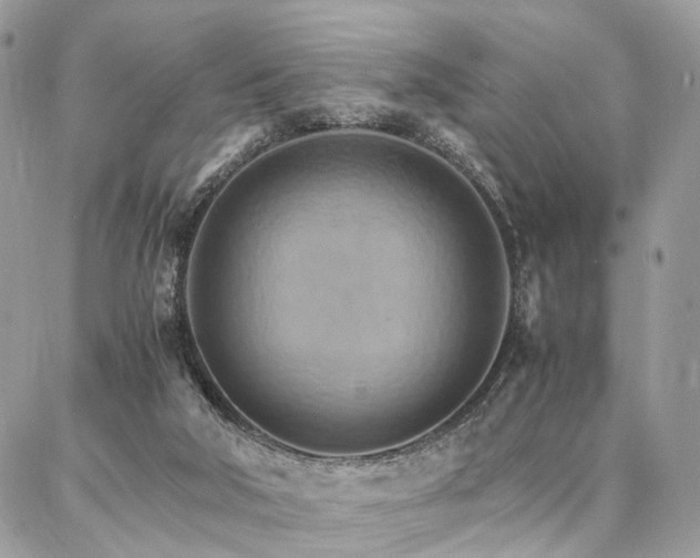 X0000086790018200704131252