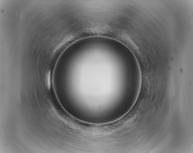 X0000086790020200704131252