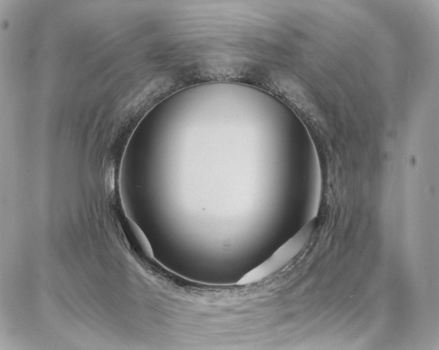 X0000086790021200704131252