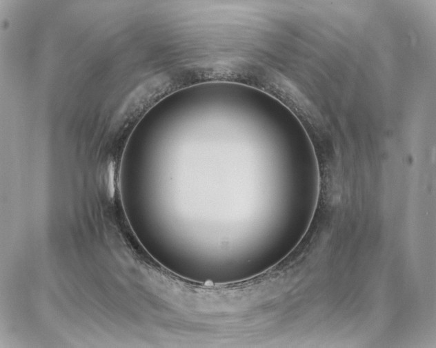 X0000086790022200704131251