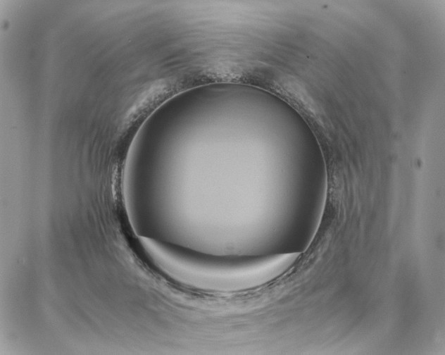 X0000086790023200704131251