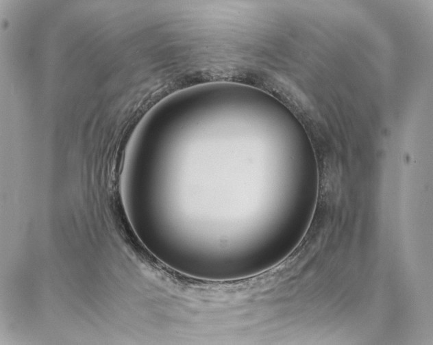 X0000086790025200704131251