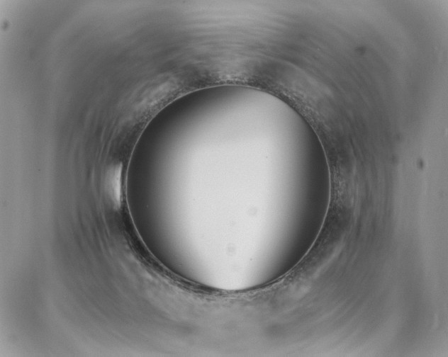 X0000086790028200704131251
