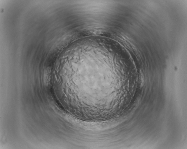 X0000086790030200704131251