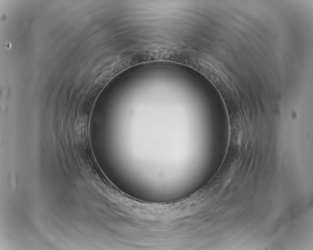 X0000086790034200704131251