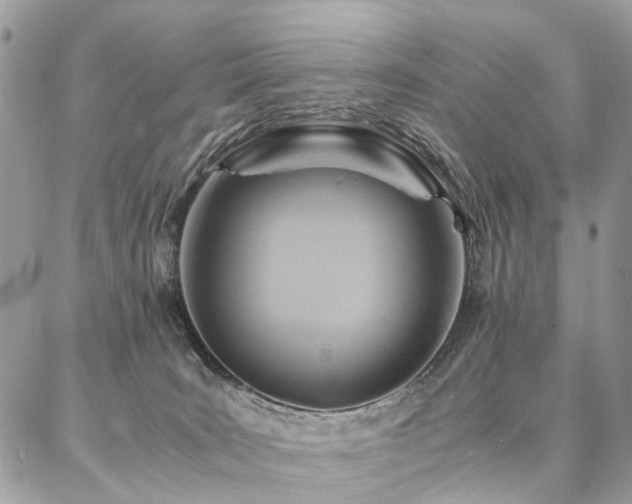 X0000086790035200704131251