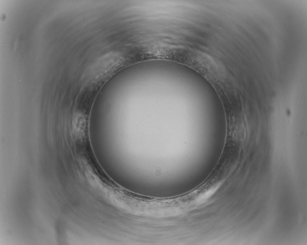 X0000086790036200704131251