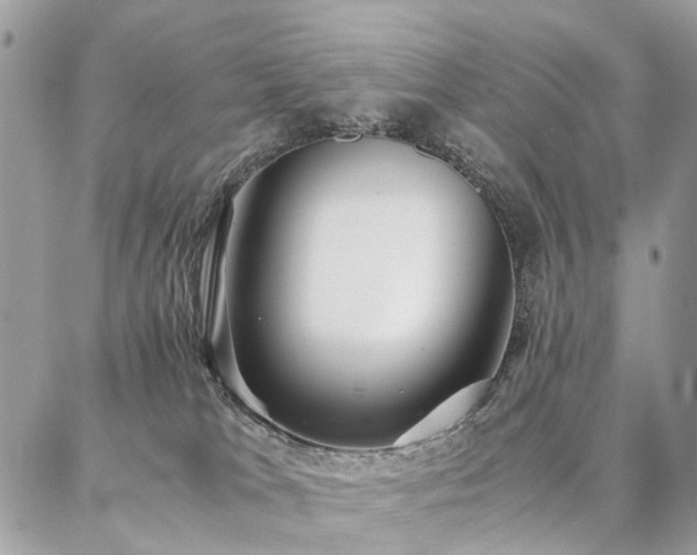 X0000086790037200704131251
