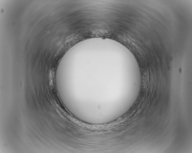 X0000086790038200704131251