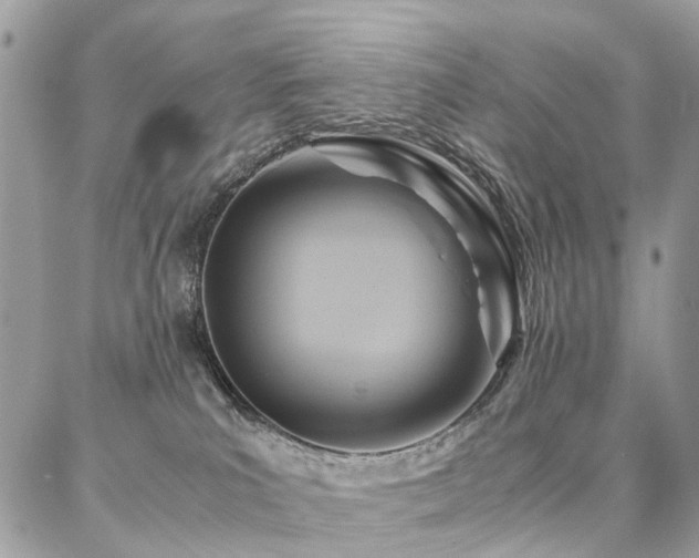 X0000086790039200704131251