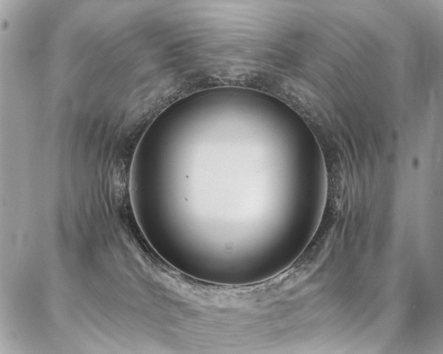 X0000086790040200704131251