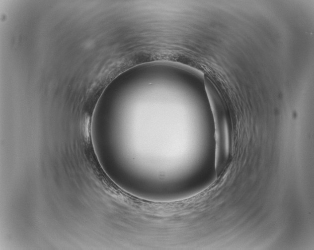 X0000086790041200704131251