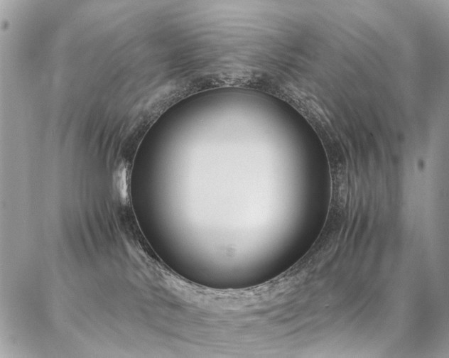 X0000086790042200704131251