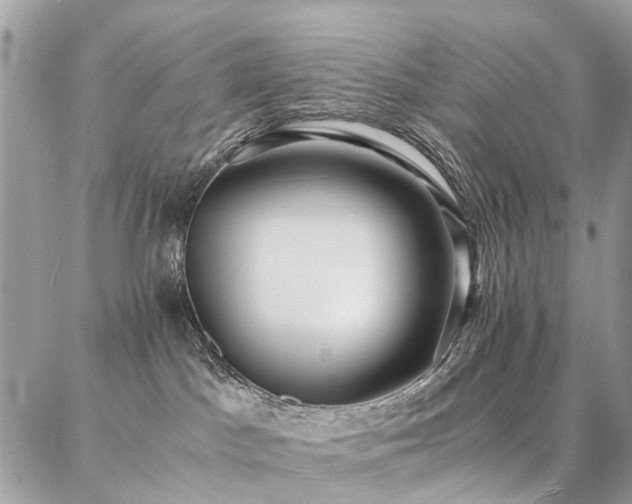 X0000086790045200704131251