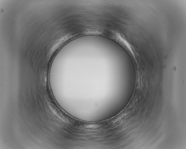 X0000086790059200704131250