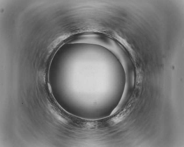 X0000086790060200704131250