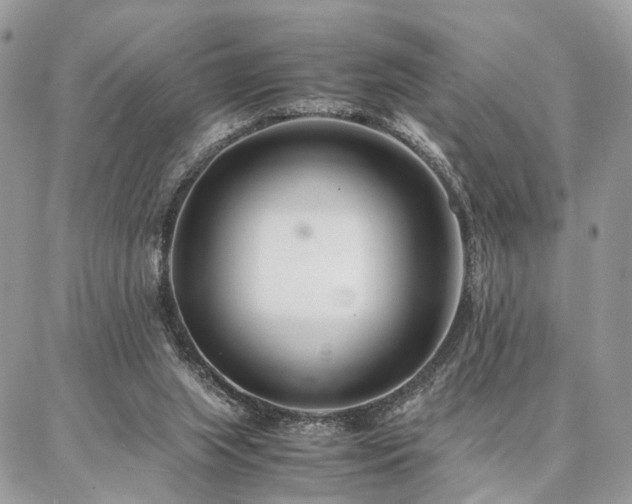 X0000086790063200704131250