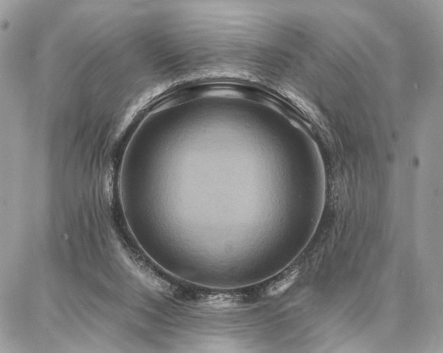 X0000086790064200704131251
