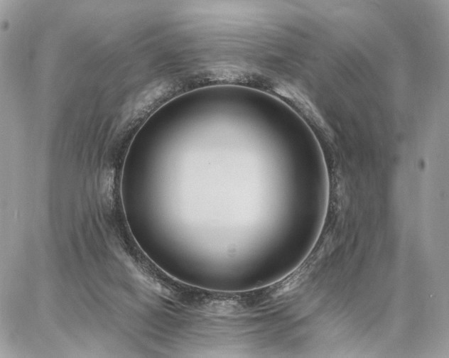 X0000086790066200704131251