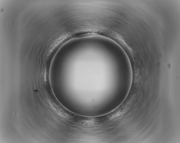 X0000086790068200704131251
