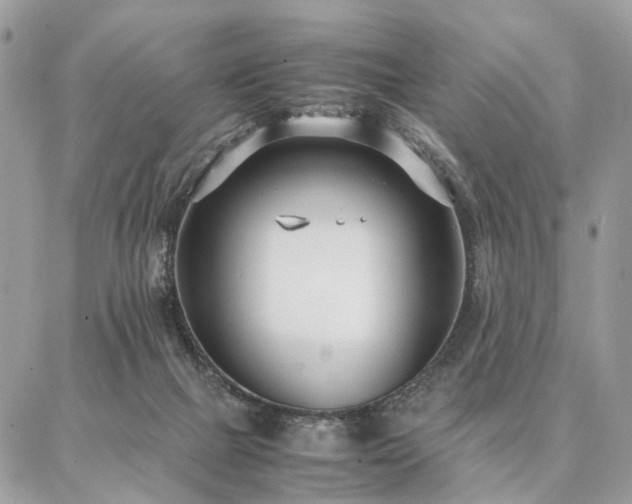 X0000086790073200704131251