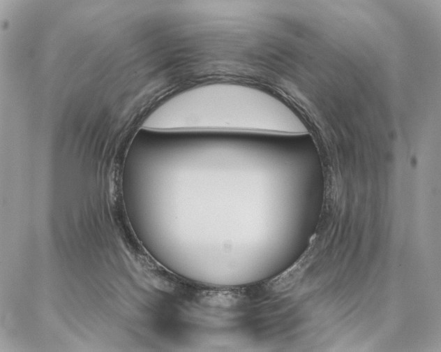X0000086790074200704131251