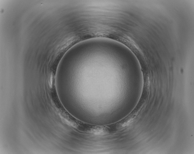 X0000086790076200704131251