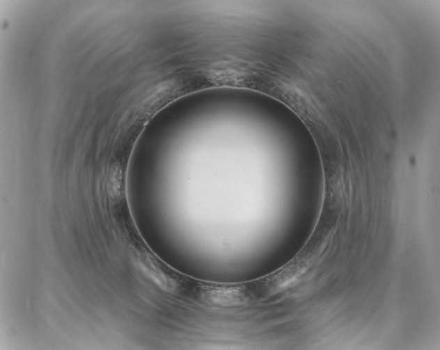 X0000086790081200704131251