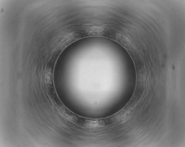 X0000086790083200704131251