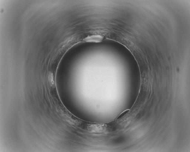 X0000086790089200704131251