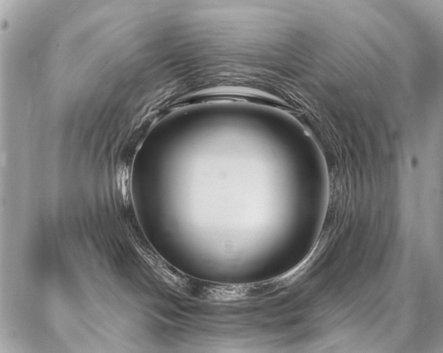X0000086790094200704131251
