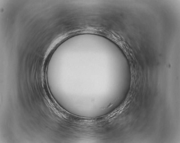 X0000086790102200704131250