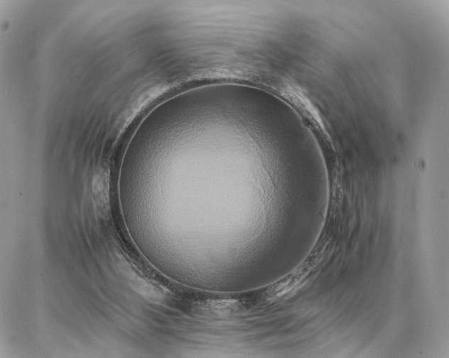 X0000086790108200704131250