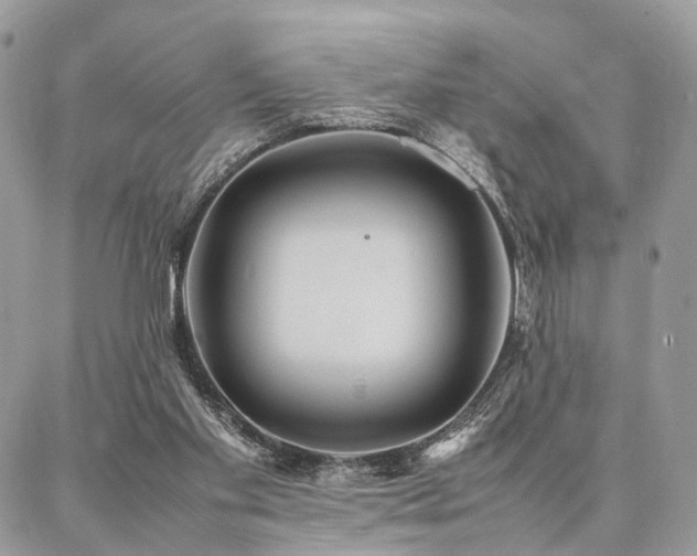 X0000086790109200704131250
