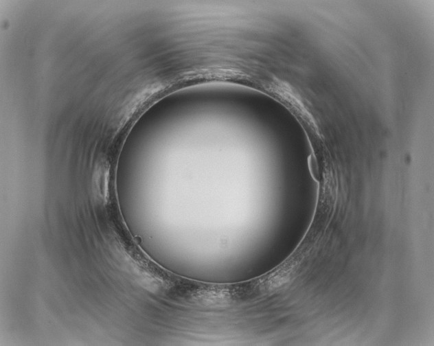 X0000086790110200704131250
