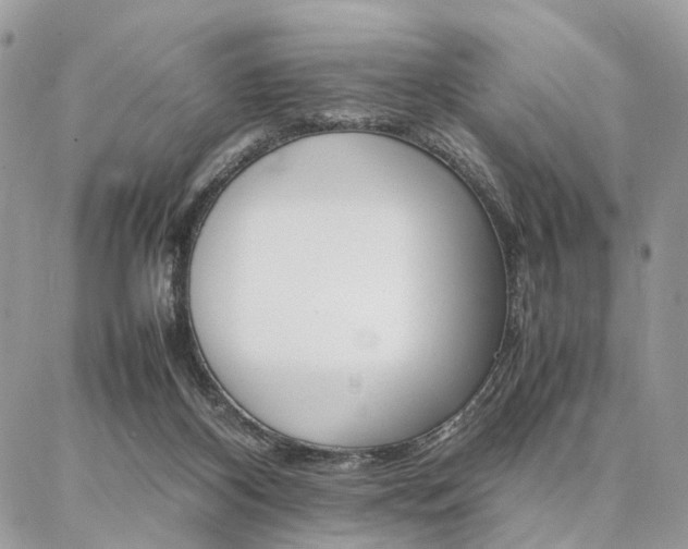 X0000086790116200704131250