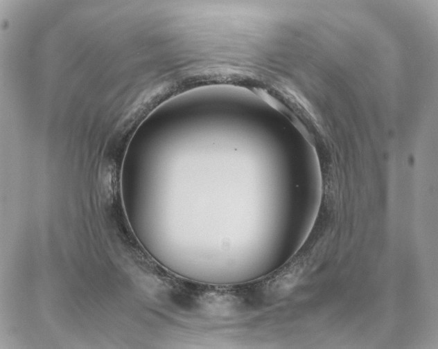 X0000086790119200704131250