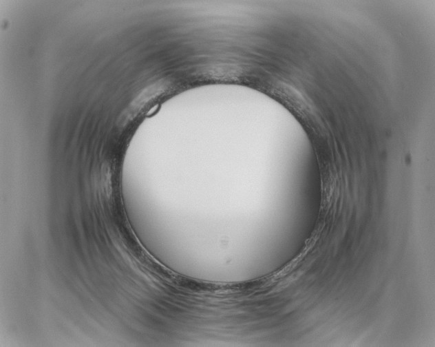 X0000086790120200704131250