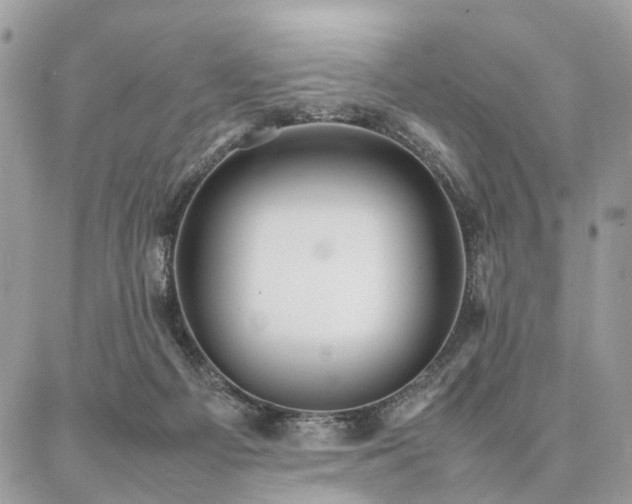 X0000086790121200704131250