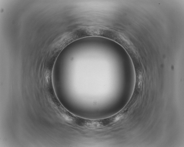 X0000086790125200704131250