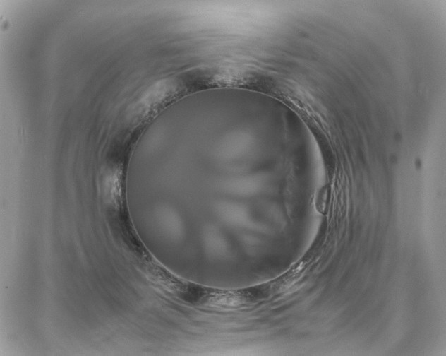 X0000086790127200704131250