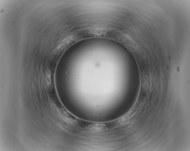 X0000086790128200704131250