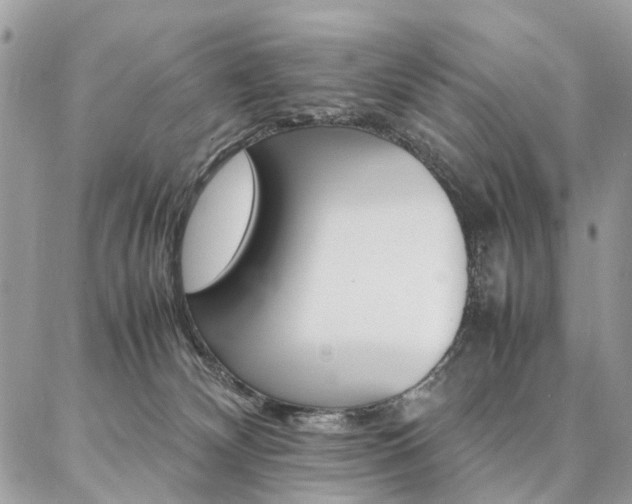 X0000086790132200704131250