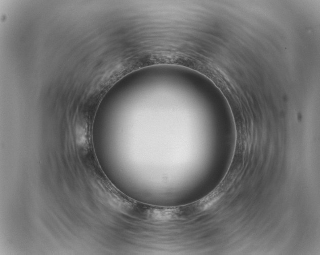 X0000086790134200704131250